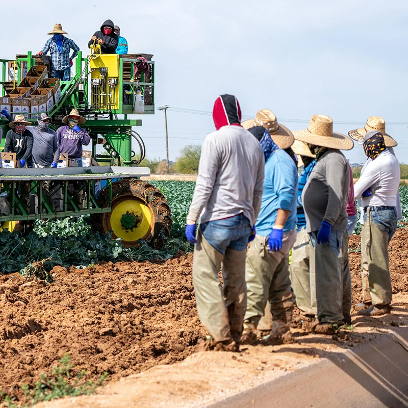 Independent SGS/BV inspections, load-plan photos/video, and signed weight notes.