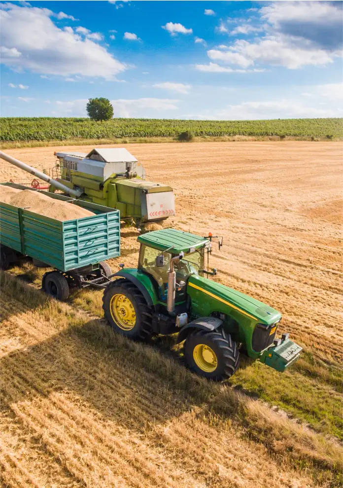 End-to-end shipping from Kenya: stuffing, customs, freight booking, and milestone update